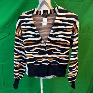 Ann Taylor Striped Cardigan Sweater